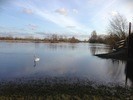 Pedometer. Photo of flooded river